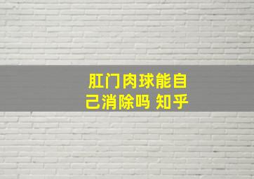 肛门肉球能自己消除吗 知乎